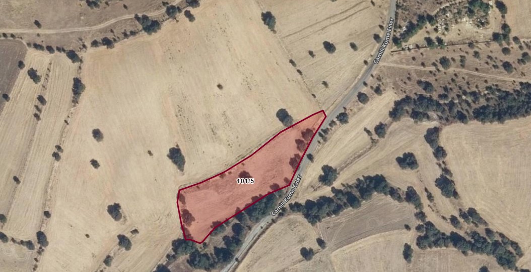 UŞAK EŞME CAMİLİ KÖYDE TARLAMIZ 5.809 M² TARLA    SATILIKTIR.